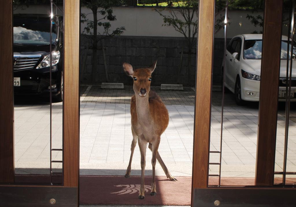 โนโบริโอจิ โฮเต็ล นารา Hotel ภายนอก รูปภาพ